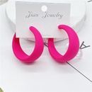 trendy exaggerated candy color large earringspicture8