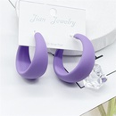 trendy exaggerated candy color large earringspicture9