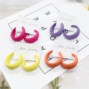 trendy exaggerated candy color large earringspicture11