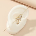 Fashion word slash surround ear acupuncture bone clippicture23