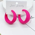 trendy exaggerated candy color large earringspicture12