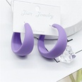 trendy exaggerated candy color large earringspicture14