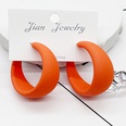 trendy exaggerated candy color large earringspicture16