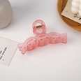 Korean solid color frosted large catch clip wholesalepicture33
