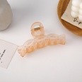 Korean solid color frosted large catch clip wholesalepicture35