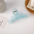 Korean solid color frosted large catch clip wholesalepicture30