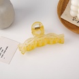 Korean solid color frosted large catch clip wholesalepicture36