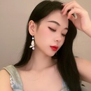 Korean style retro rhinestone crystal diamond butterfly earringspicture13