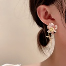 Korean style transparent flower earringspicture14