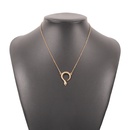 Simple Snake Geometric Alloy Necklacepicture16