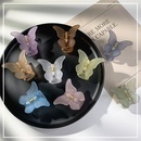fashion solid color butterfly shape catch clip wholesalepicture7