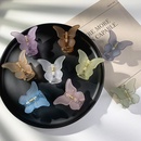 fashion solid color butterfly shape catch clip wholesalepicture9