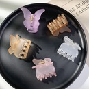 fashion solid color butterfly shape catch clip wholesalepicture10