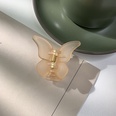 fashion solid color butterfly shape catch clip wholesalepicture15