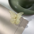 fashion solid color butterfly shape catch clip wholesalepicture20