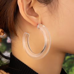 fashion transparent resin acrylic earrings wholesale