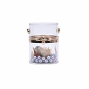 fashion pearl chain transparent mini messenger bagpicture16