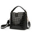 fashion texture crocodile pattern patent leather handbagpicture31