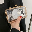 simple transparent pearl chain shoulder messenger jelly bagpicture15