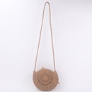 new cute bow crossbody woven bagpicture13