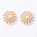 Korean natural shell flower contrast pearl earringspicture12