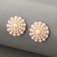 Korean natural shell flower contrast pearl earringspicture13