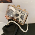 simple transparent pearl chain shoulder messenger jelly bagpicture17