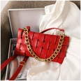 fashion metal handle diagonal woven small square bagpicture20
