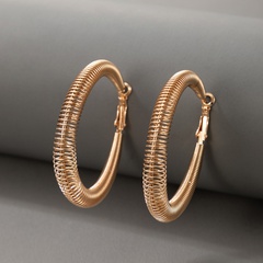 vente en gros bijoux mode boucles d'oreilles simples cercle de printemps nihaojewelry