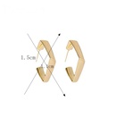 Simple square geometric metal earringspicture12
