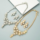 fashion multilayer alloy pearl flower earrings necklace setpicture8