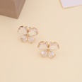 Korean style multicolor butterfly earringspicture17