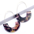 fashion leopard print tortoiseshell acrylic Ushaped earringspicture43