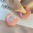 fashion macaron color Cshaped creative resin earringspicture14