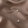 Korean flower pearl tassel zircon earringspicture13