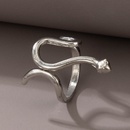 simple snake shape alloy ringpicture11