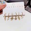 Korean personalized marine animal microinlaid zircon earrings setpicture12