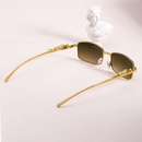 Fashion retro small frame leopard head sunglassespicture12
