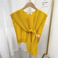 Fashion solid color knitted shawlpicture35