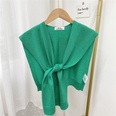 Fashion solid color knitted shawlpicture37