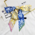 Fashion silk scarf tied hair ropepicture70