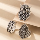 Retro Punk Carved Hollow Twist Owl Ring 3Piece Setpicture11