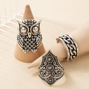 Retro Punk Carved Hollow Twist Owl Ring 3Piece Setpicture13