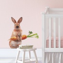 fashion cute rabbit carrot room porch wall stickerspicture9