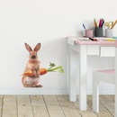fashion cute rabbit carrot room porch wall stickerspicture11