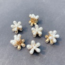Korean style imitation pearl flower small catch clippicture12