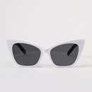 Fashion Triangle Pointed Cats Eye Multicolor Sunglassespicture13
