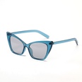 Fashion Triangle Pointed Cats Eye Multicolor Sunglassespicture21