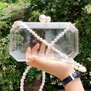 fashion acrylic transparent shoulder messenger small square bagpicture23