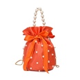 fashion pearl handle ribbon bow chain bucket small bagpicture41
